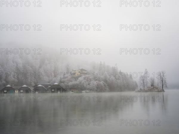 View across Königssee to boathouses, Christlieger island and frozen trees in fog, Schönau am Königssee, Berchtesgadener Land, Upper Bavaria, Bavaria, Germany