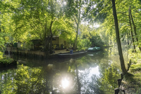 Canal or Spreewaldfließ in the Spreewald near Spreewalddorf Lehde, Lübbenau/Spreewald, Brandenburg, Germany