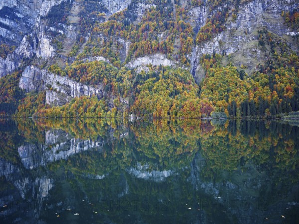 Autumn-colored forest is reflected in Lake Klöntal, Canton of Glarus, Switzerland