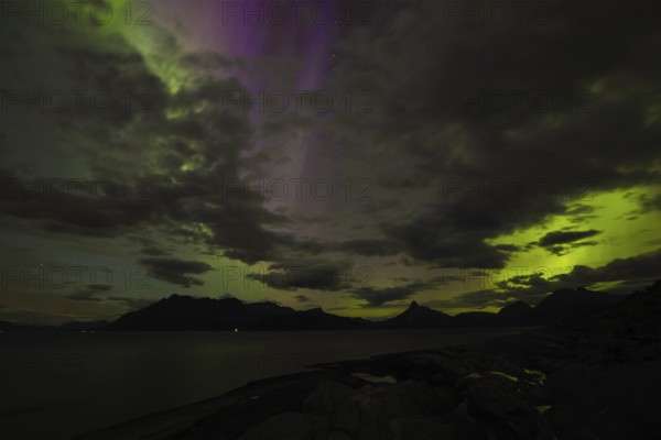 The Vestfjord in Nordland, Norway, has an enchanting atmosphere at night. Dark clouds and vivid aurora, polar lights dance over the fjord. The rugged cliffs and majestic mountains are reflected in the calm water and create a mystical backdrop