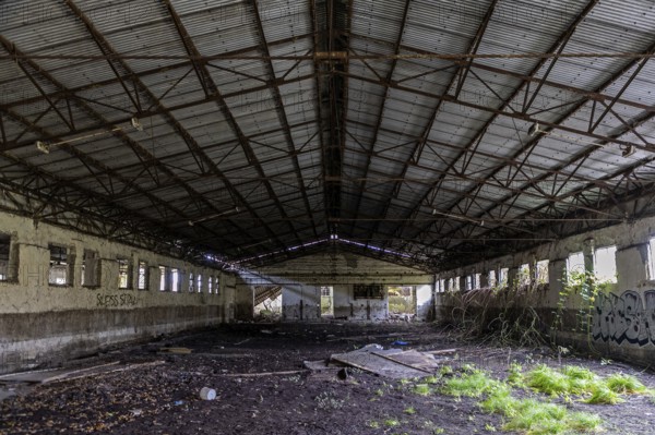 Abandoned hall with Grafity, dilapidated plant of a former agricultural production cooperative of the former GDR, LPG, Lost Place, Müggenburg, Fischland-Darß-Zingst, Western Pomerania National Park, Mecklenburg-Western Pomerania, Germany