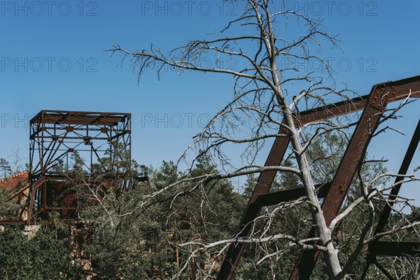 Ruins of the Women's Sanatorium, Lost Place, Heilstätten Beelitz, Brandenburg