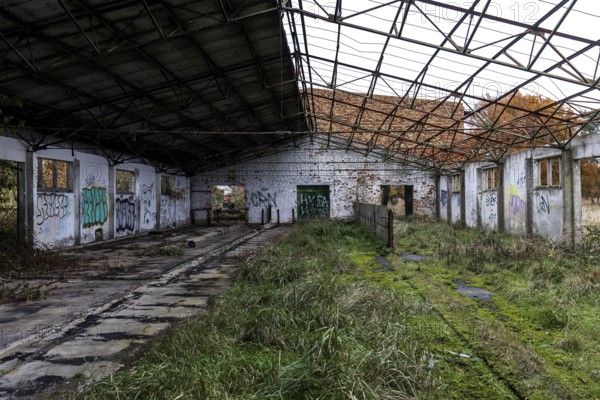 Former hall, dilapidated plant of a former agricultural production cooperative of the former GDR, LPG, Lost Place, Müggenburg, Fischland-Darss-Zingst, Western Pomerania Lagoon Area National Park, Mecklenburg-Western Pomerania, Germany