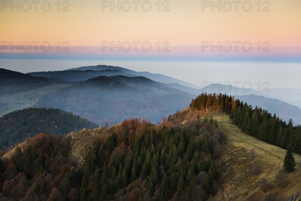 View from Belchen, morning mood with fog in autumn, sunrise, Belchen, Black Forest, Southern Black Forest, Baden-Württemberg, Germany