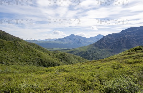 Tundra and mountainous landscape of the Alaska Range, Sable Pass, Denali National Park and Preserve, Alaska, USA