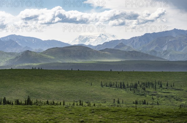 Tundra and glaciated peak of Denali or Mount McKinley, Alaska Range mountainous landscape, Denali National Park, Alaska, USA
