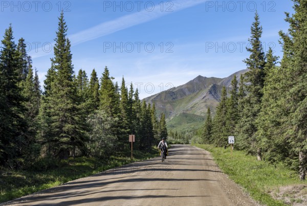 Young woman riding a bicycle on a dirt road through taiga, mountainous landscape, Denali Park Road, Denali National Park and Preserve, Alaska, USA