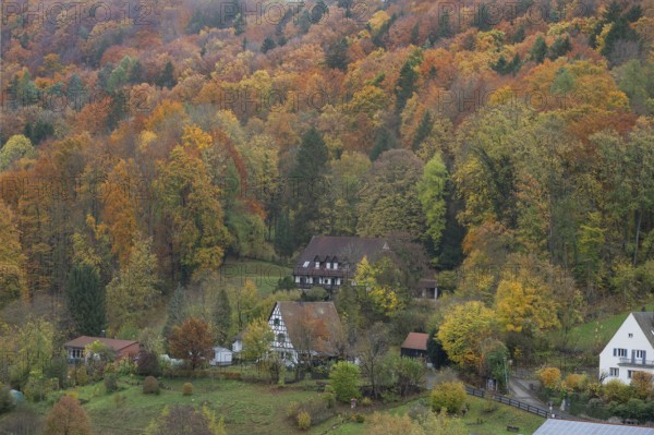 Herbstlicher Mischwald, Egloffstein, Upper Franconia, Bavaria, Germany