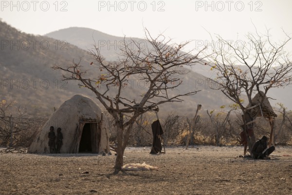 Himba huts, traditional Himba village in the savanna, arid countryside, Kaokoveld, Kunene, Namibia