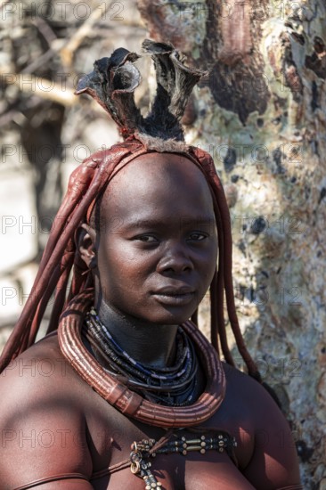 Himba woman, portrait, traditional Himba village, Kaokoveld, Kunene, Namibia