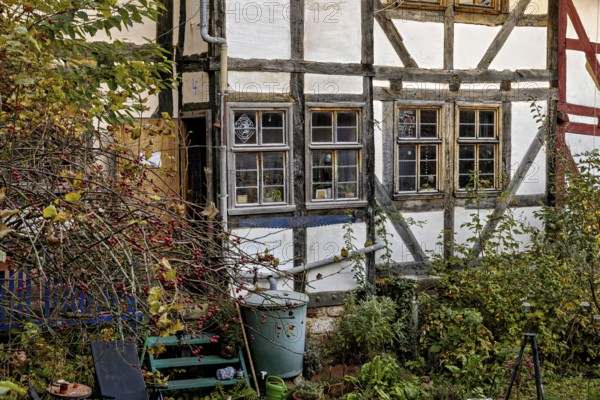 Abandoned garden in front of an old half-timbered house with autumn plants, The historic city center of Marburg in Hesse