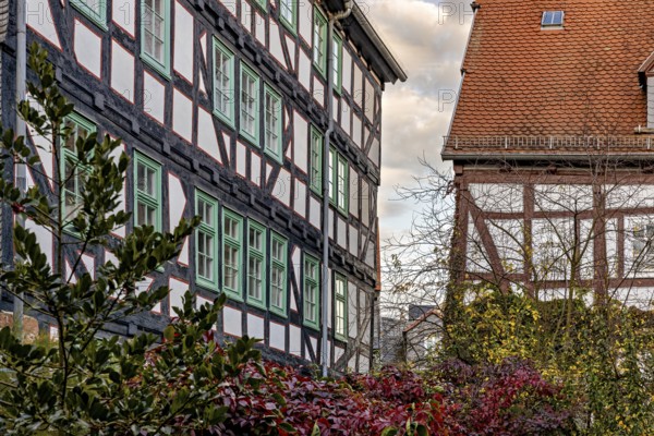 Half-timbered houses with green shutters and autumn vegetation, The historic city center of Marburg in Hesse