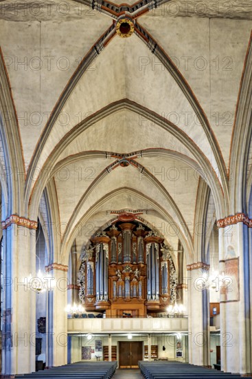 Impressive church interior with Gothic arches and imposing organ, atmospherically illuminated, interior view of the Lutheran church of Marburg an der Lahn in Hesse