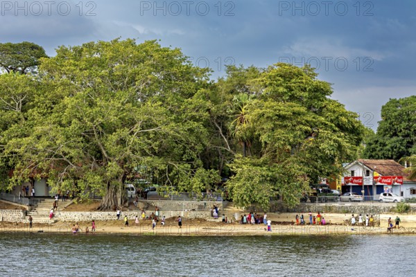 Big trees on the riverbank with houses behind them, people walking on a cloudy day, people at a lake in Sri Lanka