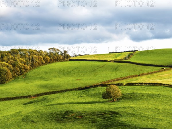Colours of Devon Farms and Fields over Paignton and Berry Pomeroy from a drone, Totnes, England, United Kingdom