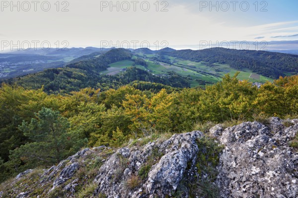 View from the Gisliflue of an autumnal forest with the Jura foothills behind, Talheim, Canton, Aargau, Switzerland