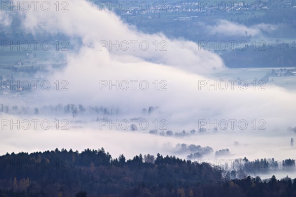 Meadows and trees in early fog, Reusstal, Merenschwand, Canton of Aargau, Switzerland