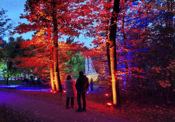 Illumination during the Herbstlichtgarten event in Sauerlandpark in the evening in Hemer, Sauerland, North Rhine-Westphalia, Germany