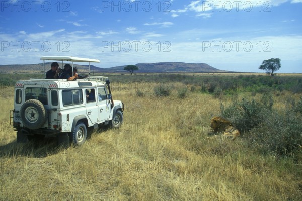 Safari participants watch lions in Serengeti, Tanzania, Africa, June 2000, vintage, retro, old, historic