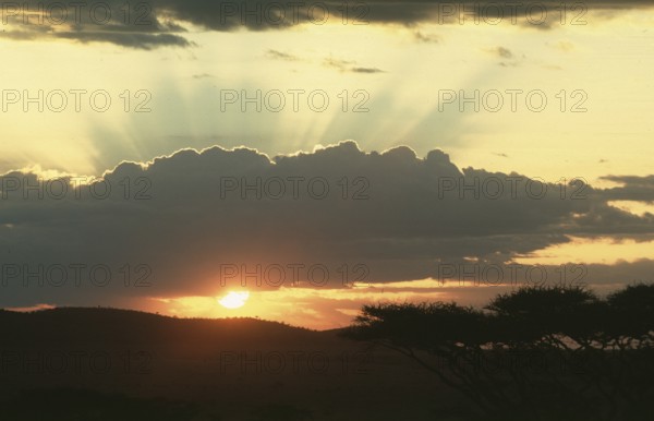 Sunset over Serengeti, Tanzania, Africa, June 2000, vintage, retro, old, historic