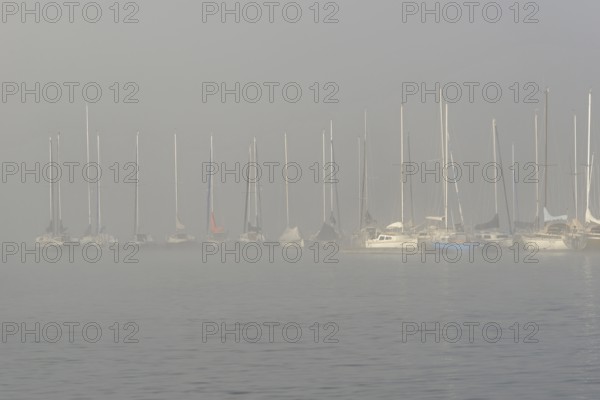 Hennesee, sailboats at boat dock in thick fog, Hennetalsperre, Sauerland-Rothaargebirge nature park Park, North Rhine-Westphalia, Germany