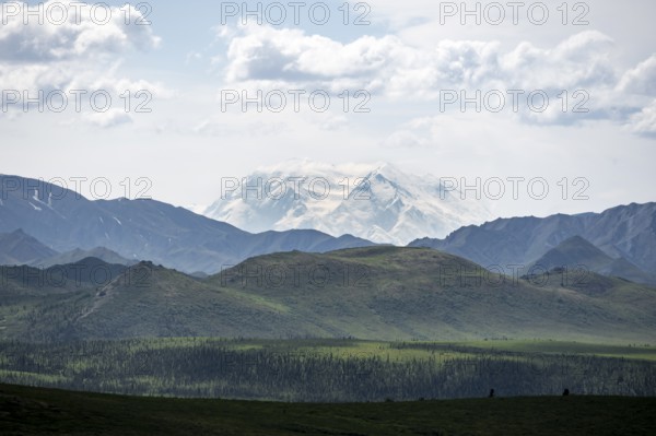 Tundra and glaciated peak of Denali or Mount McKinley, mountainous landscape, Denali National Park, Alaska, USA