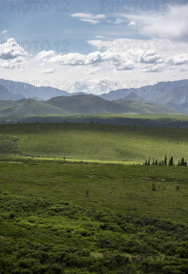 Tundra and glaciated peak of Denali or Mount McKinley, mountainous landscape, Denali National Park, Alaska, USA