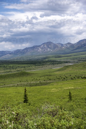 Tundra and mountain landscape with dramatic cloudy sky, Denali National Park, Alaska, USA