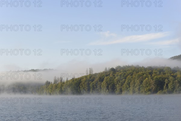 Hennesee, morning fog, blue sky, Hennetalsperre, Sauerland-Rothaargebirge nature park Park, North Rhine-Westphalia, Germany