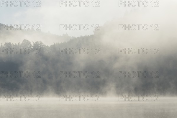 Hennesee, fog, rising clouds of fog, Hennetalsperre, Sauerland-Rothaargebirge nature park Park, North Rhine-Westphalia, Germany