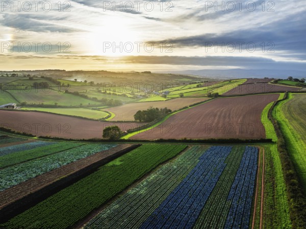 Colours of autumn Fields and Farms over Sheldon from a drone, Torbay, Devon, England, United Kingdom