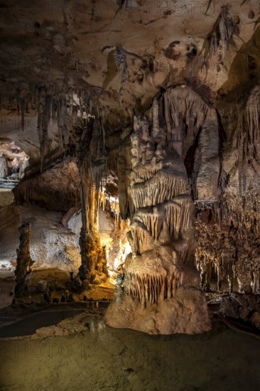 Stalactites and stalagmites, rock formations in a stalactite cave with water basin, Grotta del Fico, Gulf of Orosei, Baunei, Sardinia, Italy