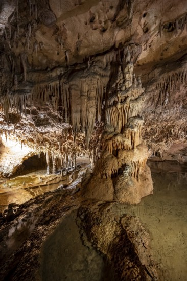 Stalactites and stalagmites, rock formations in a stalactite cave, Grotta del Fico, Gulf of Orosei, Baunei, Sardinia, Italy