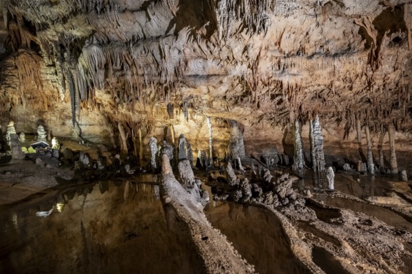 Stalactites and stalagmites, rock formations in a stalactite cave with water basin, Grotta del Fico, Gulf of Orosei, Baunei, Sardinia, Italy