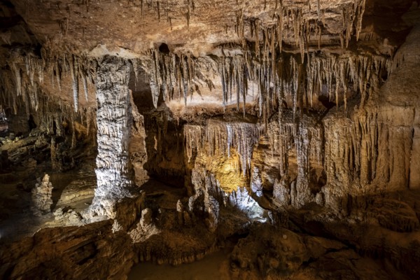 Stalactites and stalagmites, rock formations in a stalactite cave, Grotta del Fico, Gulf of Orosei, Baunei, Sardinia, Italy