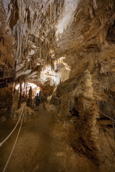 Stalactites and stalagmites, rock formations in a stalactite cave, Grotta del Fico, Gulf of Orosei, Baunei, Sardinia, Italy