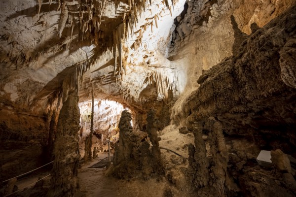 Stalactites and stalagmites, rock formations in a stalactite cave, Grotta del Fico, Gulf of Orosei, Baunei, Sardinia, Italy