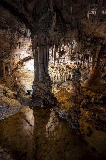 Stalactites and stalagmites, water basins and rock formations in a stalactite cave, Grotta del Fico, Gulf of Orosei, Baunei, Sardinia, Italy