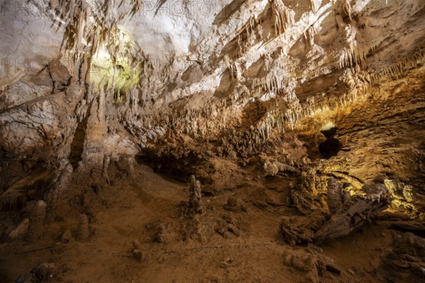 Stalactites and stalagmites, rock formations in a stalactite cave, Grotta del Fico, Gulf of Orosei, Baunei, Sardinia, Italy