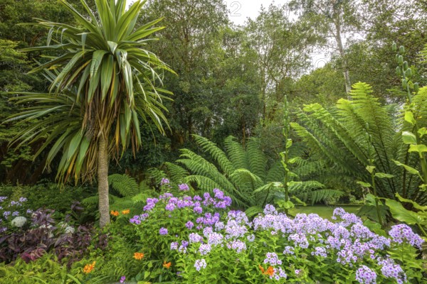 National Botanic Gardens, Kilmacurragh, Dunganstown, Co. Wicklow, Ireland
