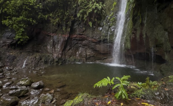 Cascata das 25 Fontes river and waterfall, 25 springs, hiking trail PR6, Levada das 25 Fontes, laurel forest, Rabacal Nature Reserve, Madeira, Portugal