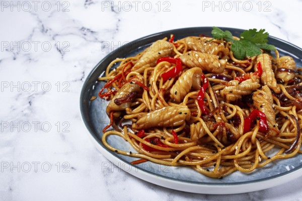 Udon noodles, with squid and vegetables, on a marble table, homemade, no people