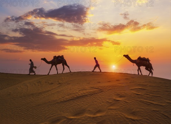 Indian cameleers camel drivers bedouin with camel silhouettes in sand dunes of Thar desert on sunset. Caravan in Rajasthan travel tourism background safari adventure. Jaisalmer, Rajasthan, India
