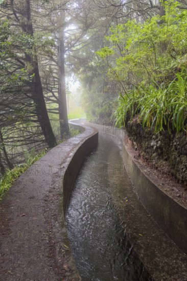 PR17 Pinaculo e Folhadal hiking trail, Levada, Irrigation Canal, Madeira, Portugal