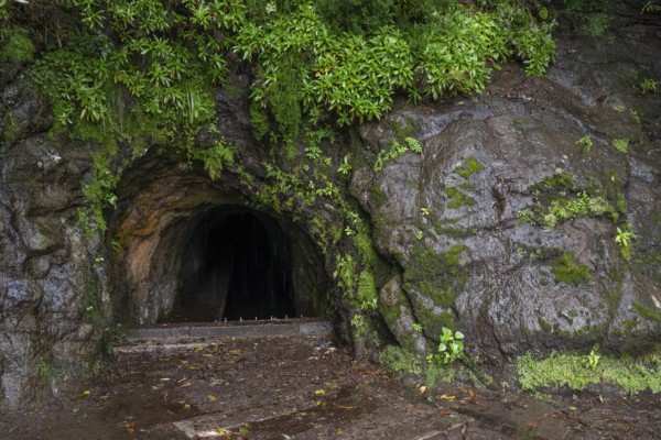 Tunnel on the PR17 Pinaculo e Folhadal hiking trail, Levada, irrigation channel, Madeira, Portugal