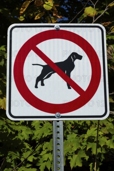 Posted white, red and black pictogram sign warning that dogs are not allowed or forbidden in public park, Quebec, Canada