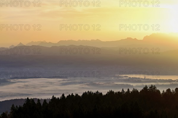 View from Horben of Lake Zug with the city of Cham and Zug covered in fog, behind it the snow-capped mountains Flübrig and Vrenelisgärtli in the light of the rising sun, Beinwil-Freiamt, Canton, Aargau, Switzerland