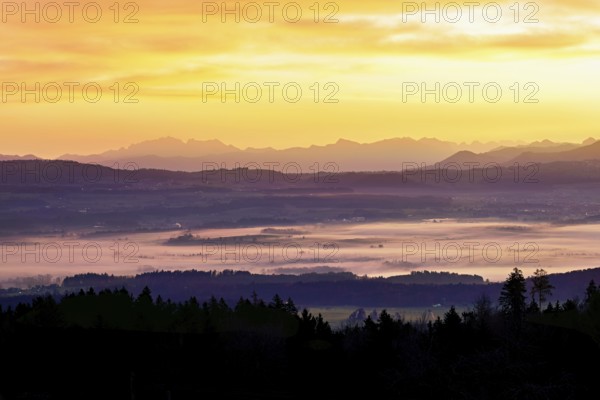 View from Horben of the Reuss Valley covered in fog, behind it the Alpstein with the Säntis in the light of the rising sun, Beinwil-Freiamt, Canton, Aargau, Switzerland