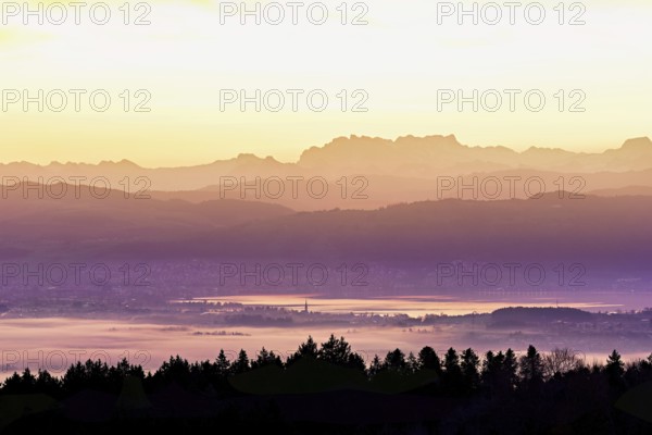 View from Horben of Lake Zug with the town of Cham and Zug, behind it the snow-capped mountains Flübrig and Vrenelisgärtli in the light of dawn, Beinwil-Freiamt, Canton, Aargau, Switzerland