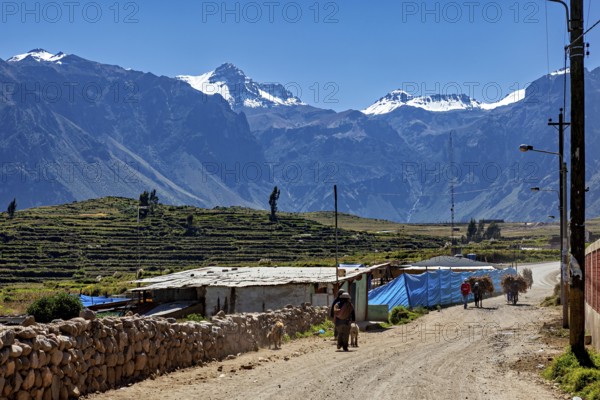 Rural scene with snow-capped mountains and small buildings under blue sky, village in the Andes near Colca in Peru